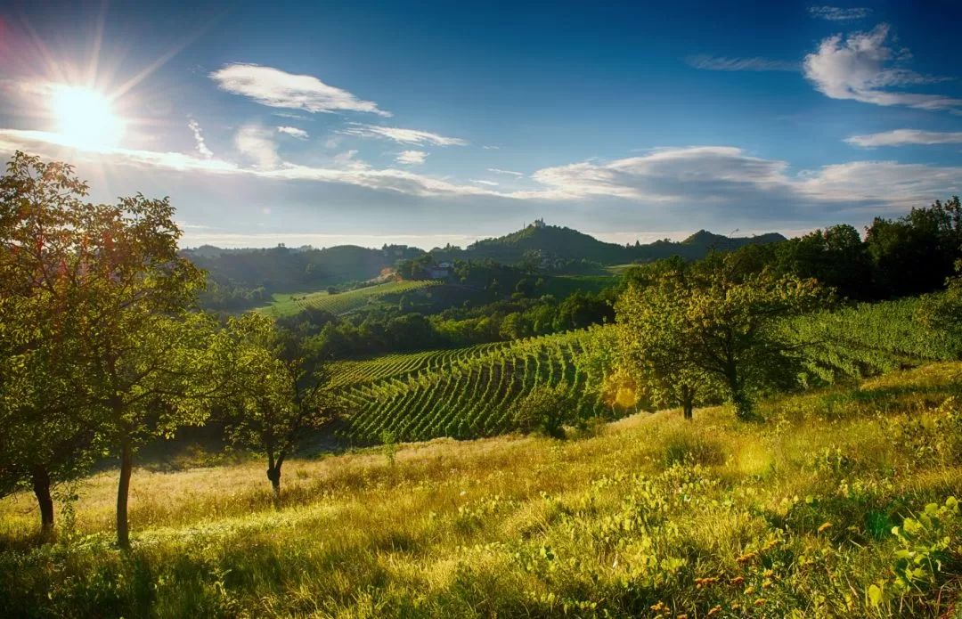 Monferrato