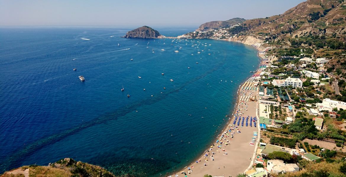 aerial view of city near sea during daytime