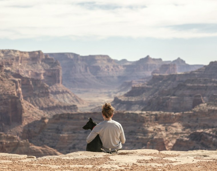 person with dog sitting on Grand Canyon cliff