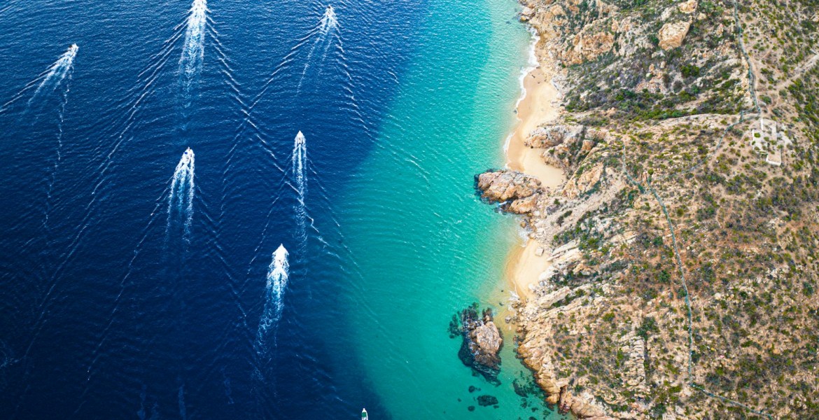a group of birds flying over a beach