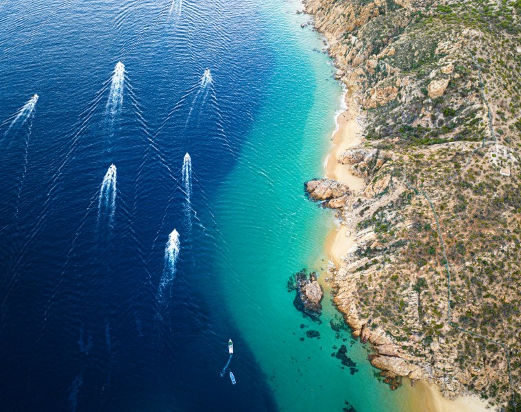 a group of birds flying over a beach